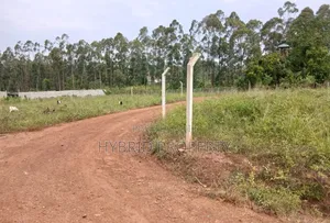 Prime Plots for Sale at Gayaza~Kiziri Kiwenda Divine Estate~Gayaza Rd.