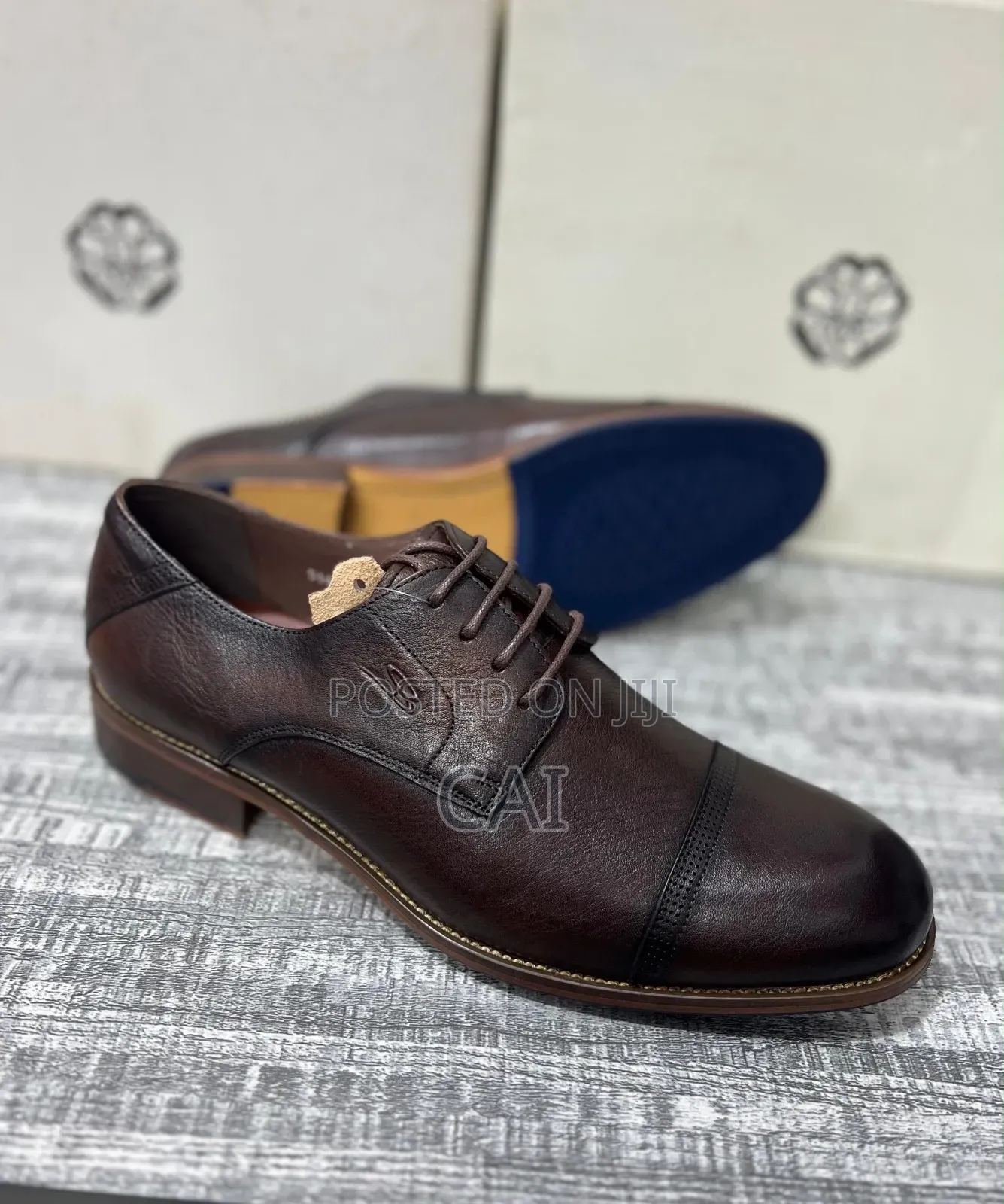 Luxury at Affordable Gentle Shoes