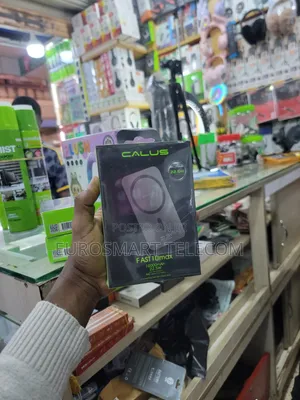 Calus 2 in 1wireless Powerbank