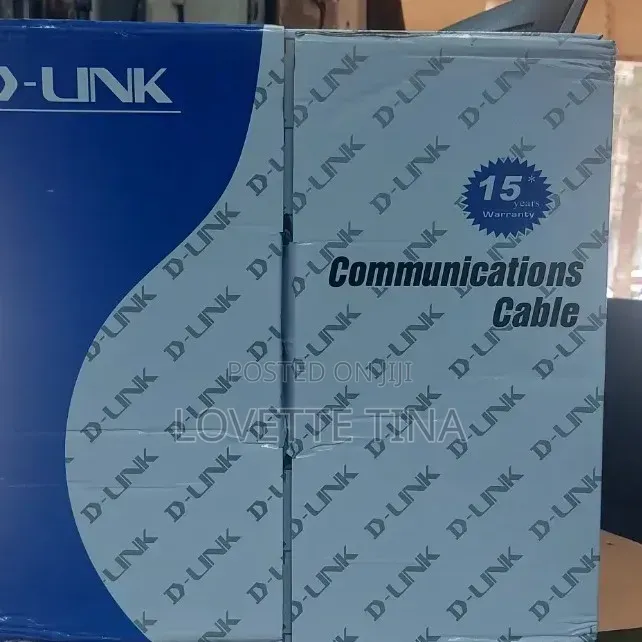 DLink Cat6 Indoor Cable