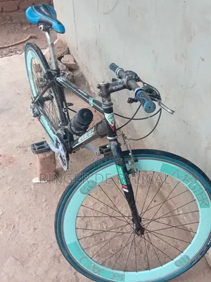 Good Sport Bicycle, American Eagle Sport