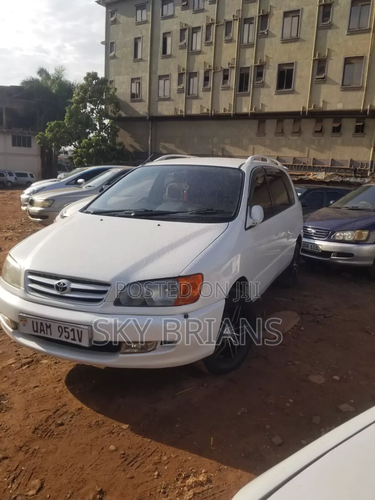 Toyota Ipsum 2000 White