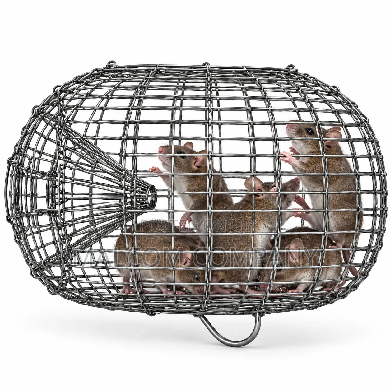 Reusable Wire Cage Mouse Rat Trap – Live Rodent Catcher in Uganda