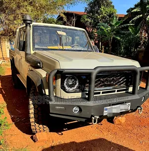 Custom/Locally Made Bullbars
