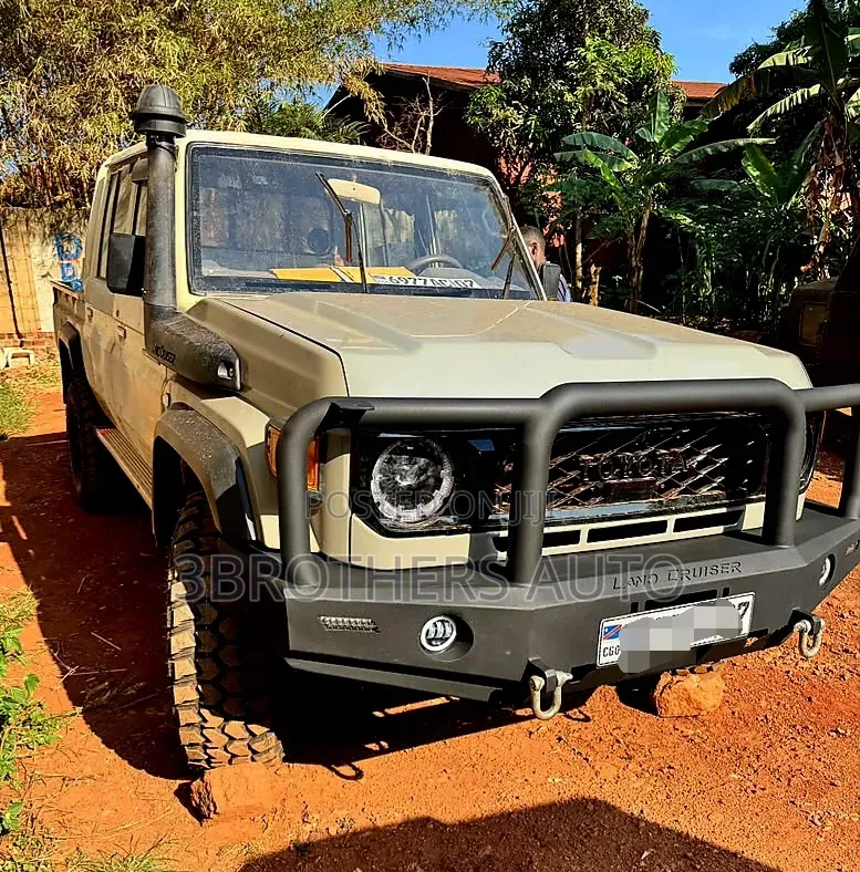 Custom/Locally Made Bullbars