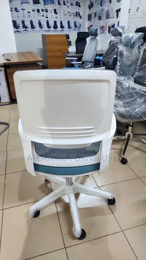 Two Color Shot Back Office Chair