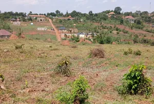Prime Plots for Sale at Namusera~Kakunyu Kulya Show Estate~Masaka Road