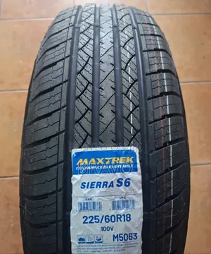 225/60r18 Maximus