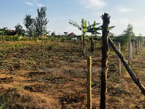 Residential Plot for Sale in Kanyaryeru