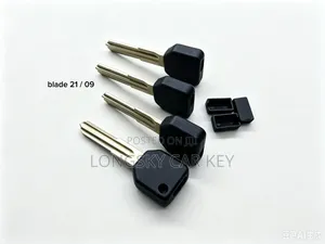 Passo Physical Key Shells/Cases/Housings
