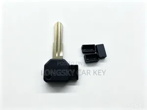 Passo Physical Key Shells/Cases/Housings