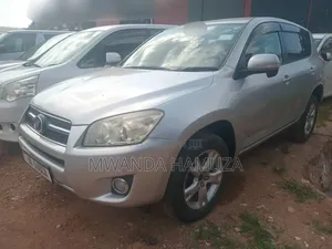 Toyota RAV4 2010 Silver