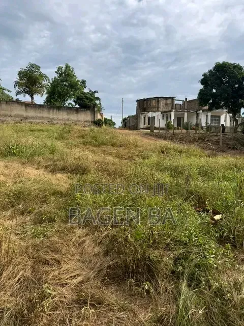 Lutembe Beach Land Deal