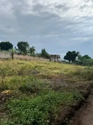 Lutembe Beach Land Deal