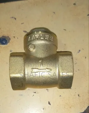 Non Return Valve Size 32" 1 Inch Lirlee Originally /All Sizes