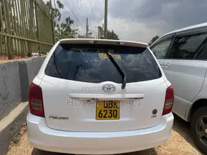 Toyota Corolla Fielder 2010 White