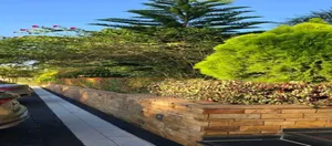 Compound Designing and Land Scaping Services for Beauty and Pride.