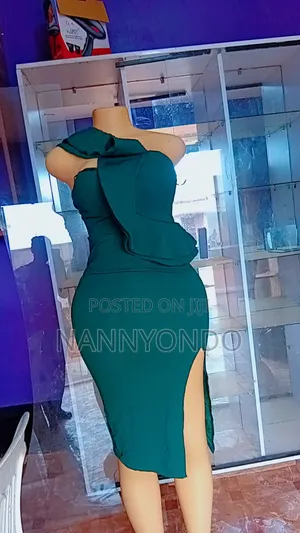 Clothing Dresses