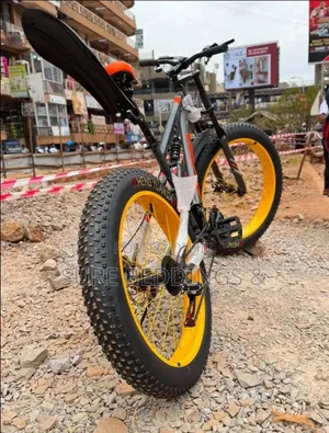 Zoolander Bicycle