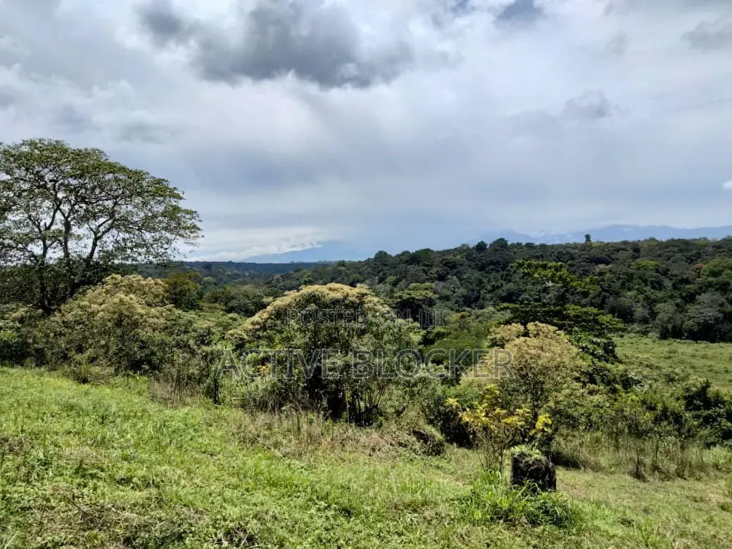 Land for Sale With a Ready Title