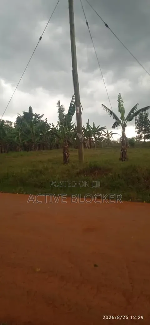 Land for Sale With a Ready Title