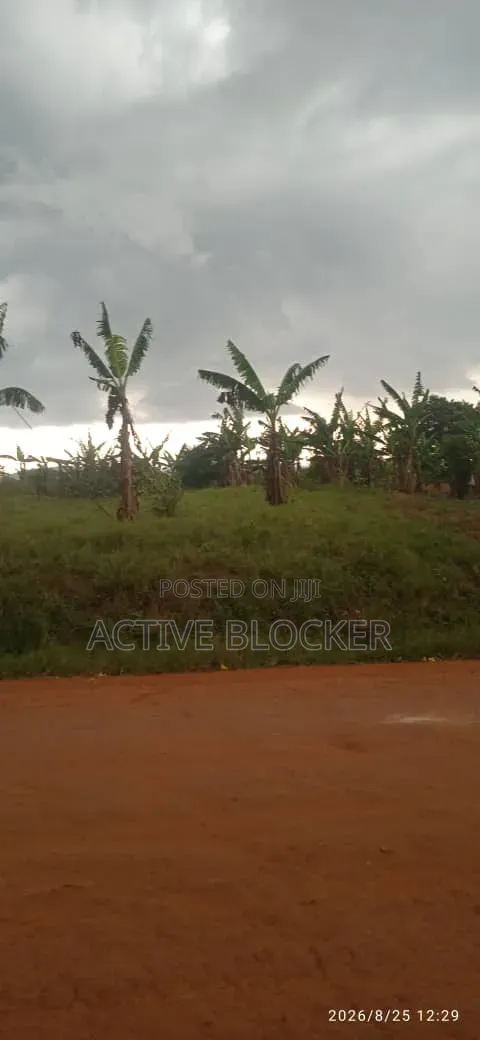 Land for Sale With a Ready Title
