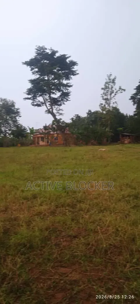 Land for Sale With a Ready Title