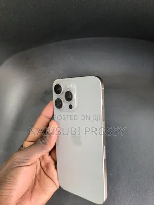 Apple iPhone 15 Pro Max 256 GB Gray