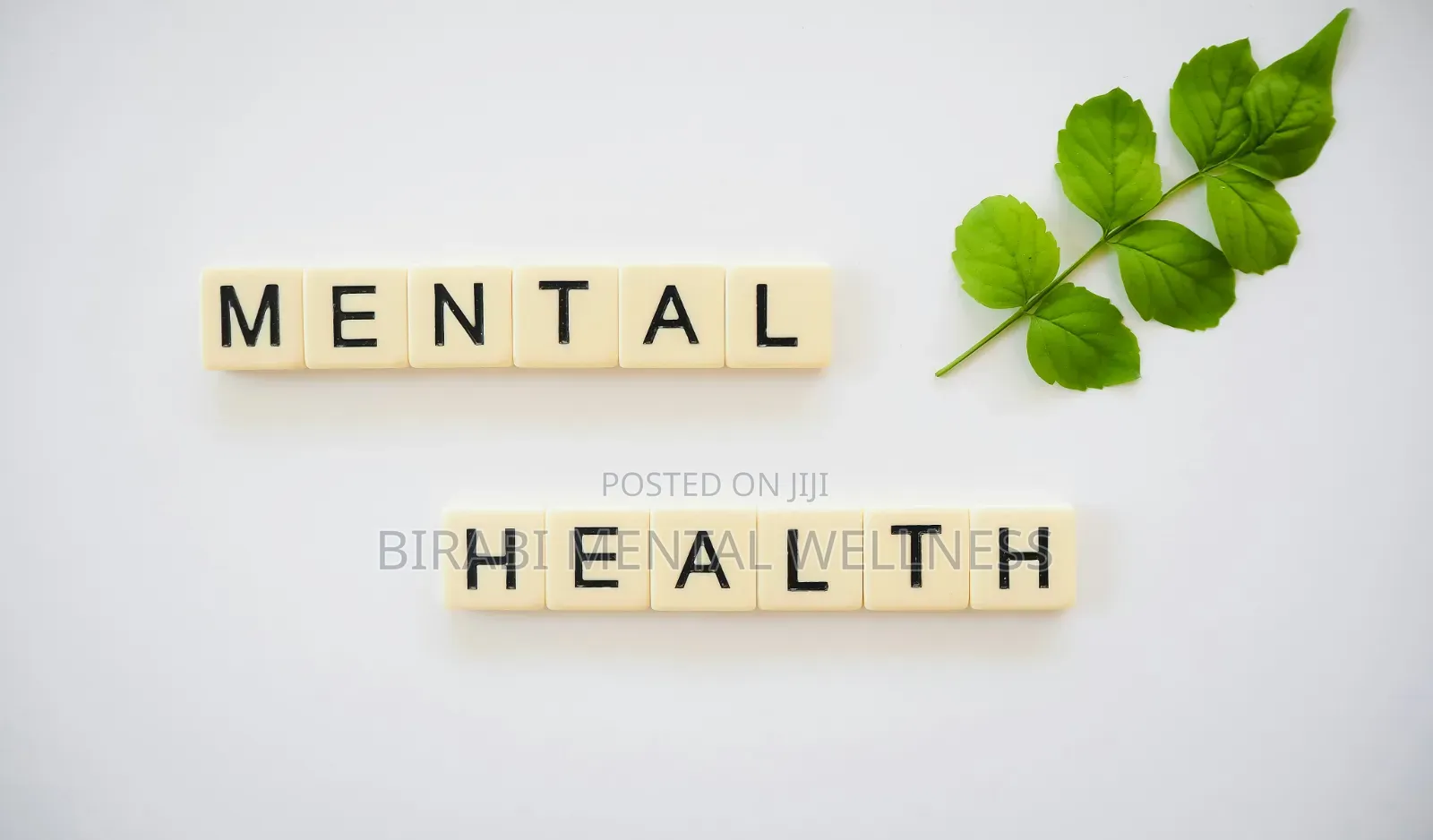 Mental Wellness Counseling | Stress, Addiction Support