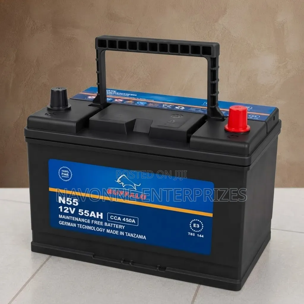 Buffalo N55 55Ah Maintenance Free Car Battery 450CCA 12V
