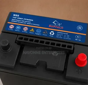Buffalo N55 55Ah Maintenance Free Car Battery 450CCA 12V