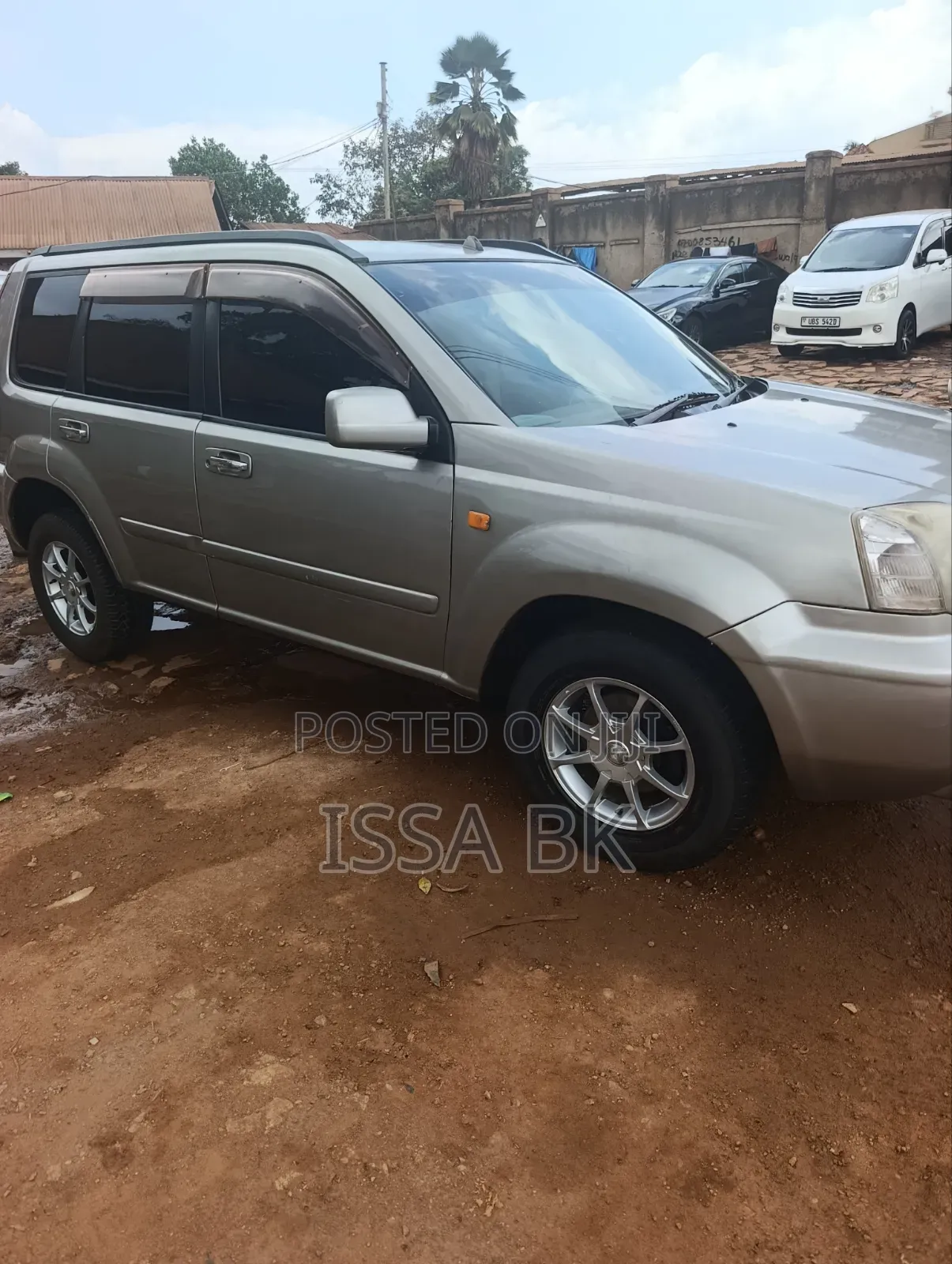 Nissan X-Trail 2002 Brown