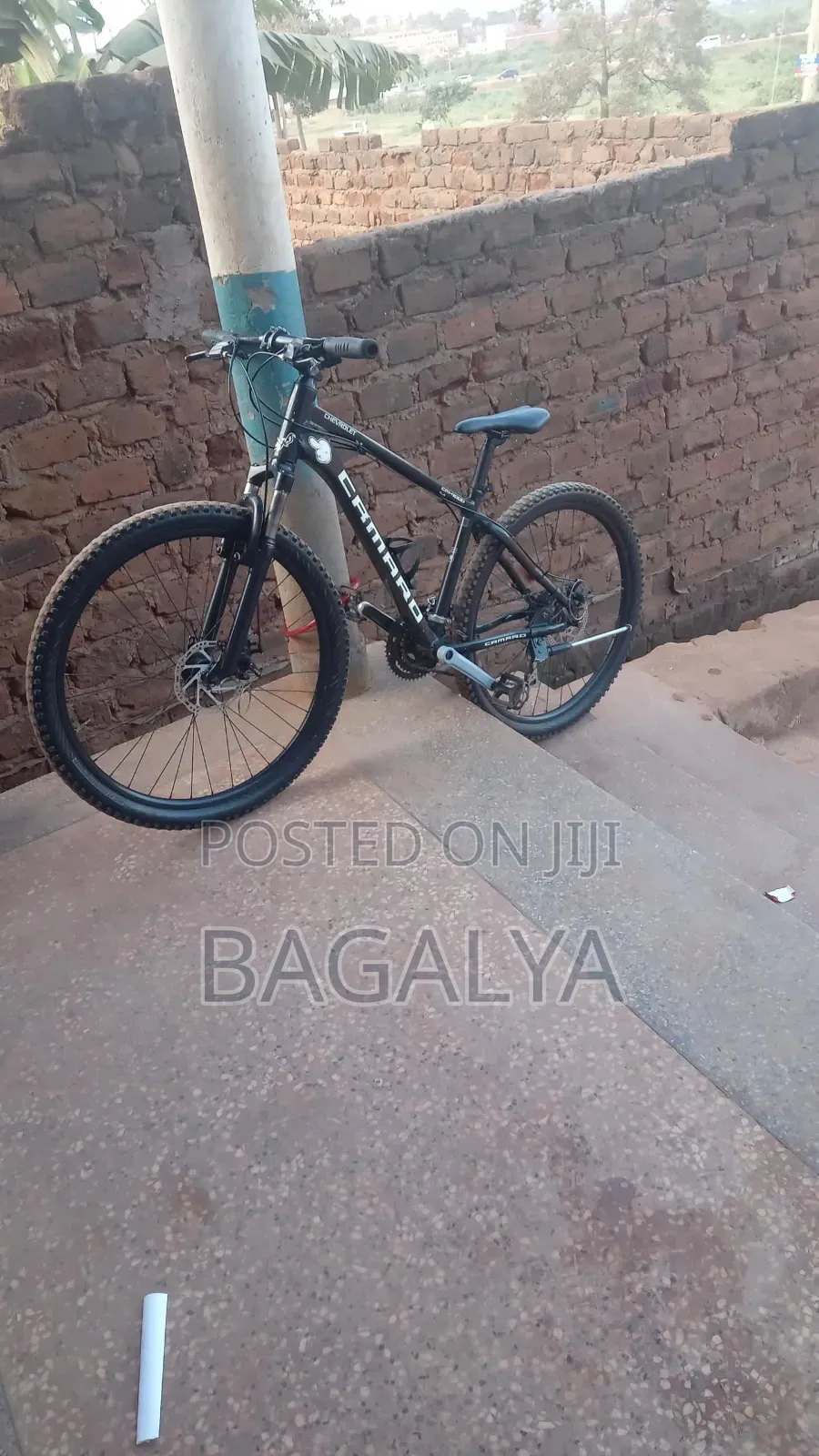 Mountain Bike