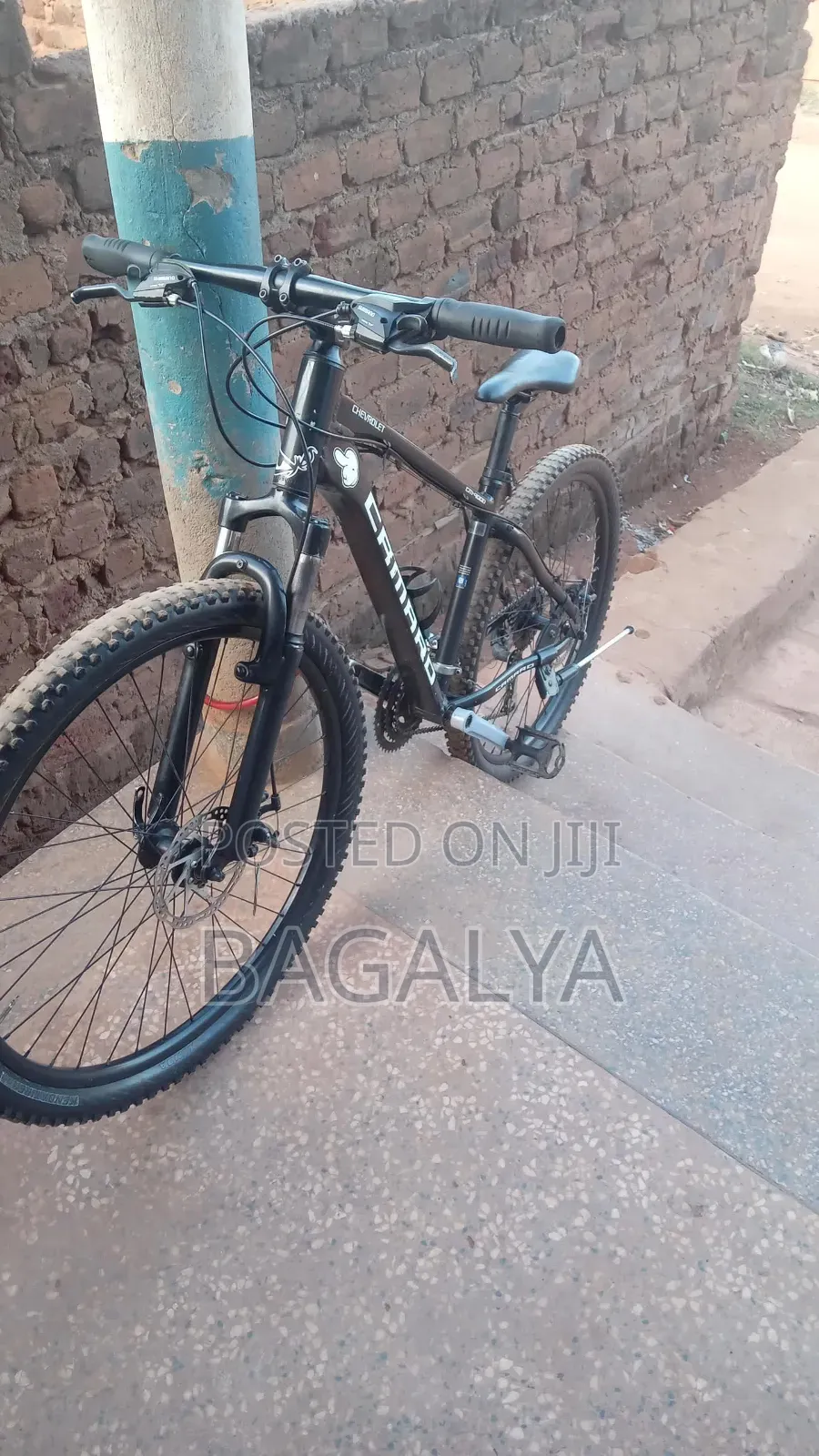 Mountain Bike