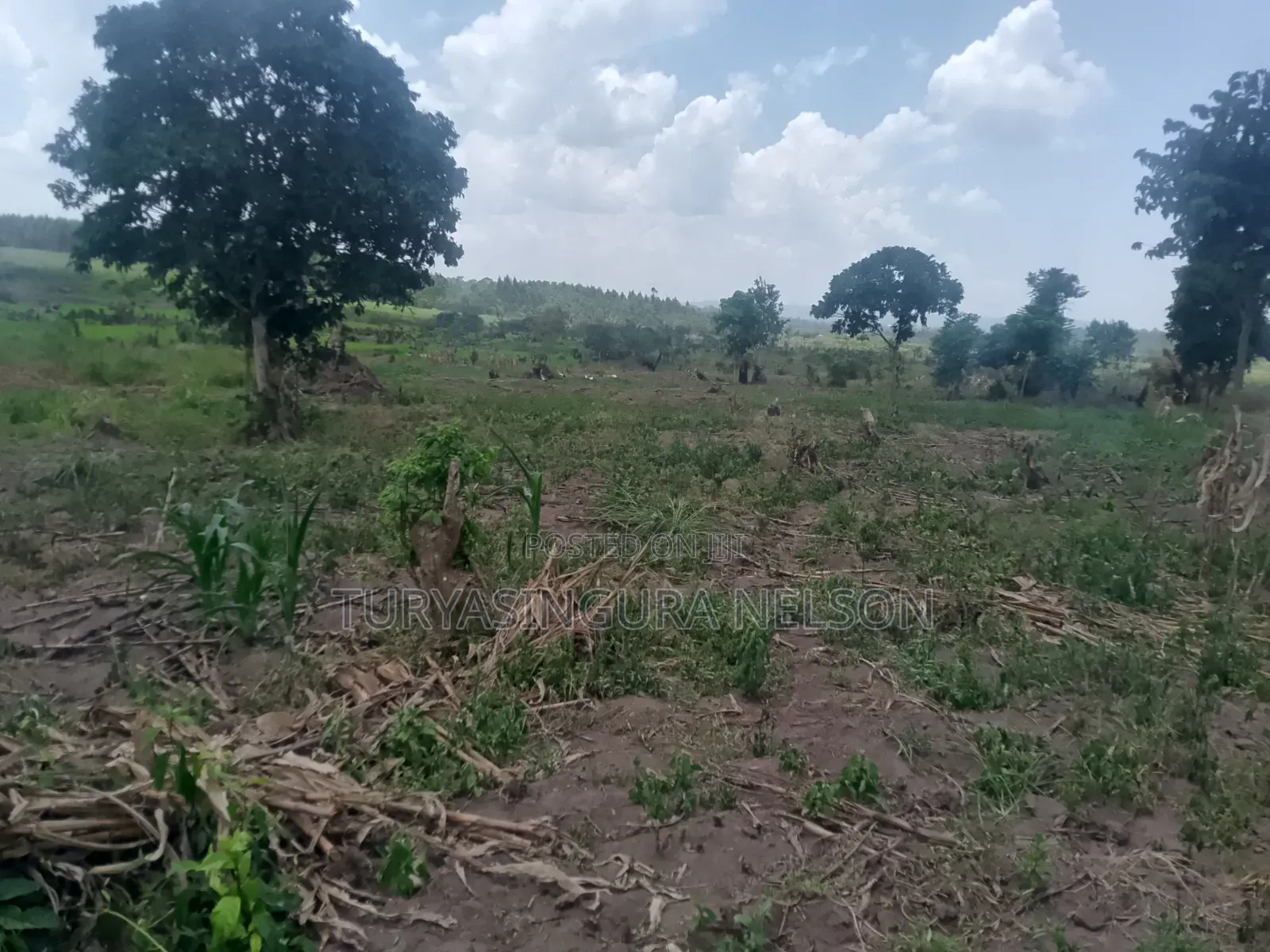 Land on Sale