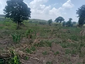 Land on Sale