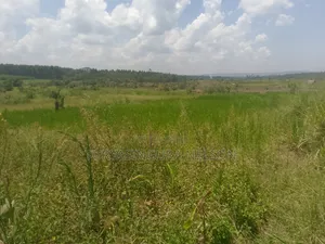 Land on Sale