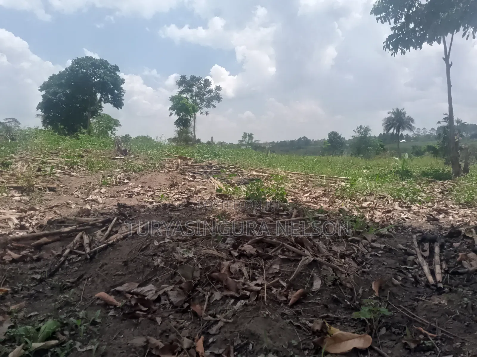 Land on Sale