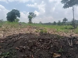 Land on Sale