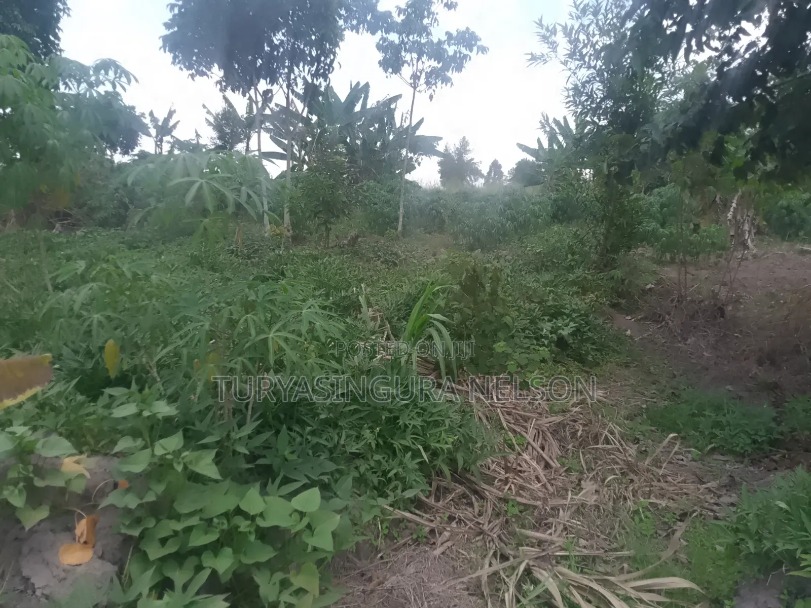 Land on Sale