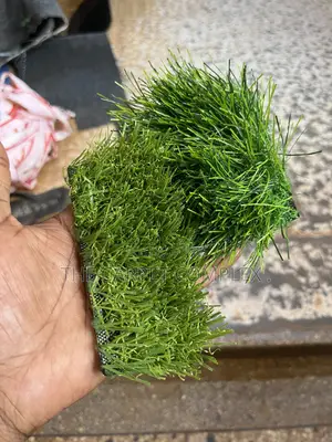 Artificial Tuff Pitch Indoor Grass Carpets Per Squaremeter