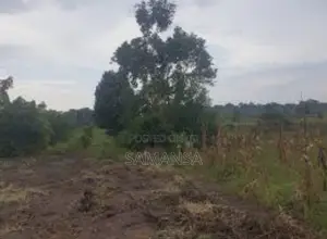 Plot of Land in Nakaswa, Namaliri
