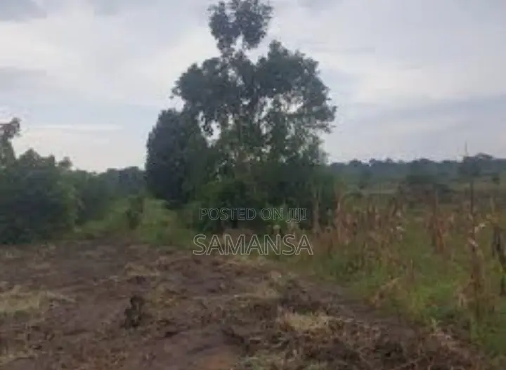 Plot of Land in Nakaswa, Namaliri