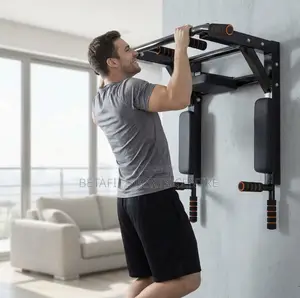 2-in-1 Wall-Mounted Pull-Up Bar and Dip Station