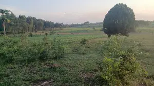 Land 10 Accres