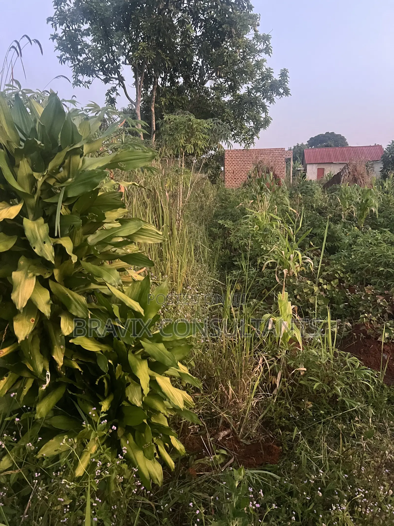 Land on Sale