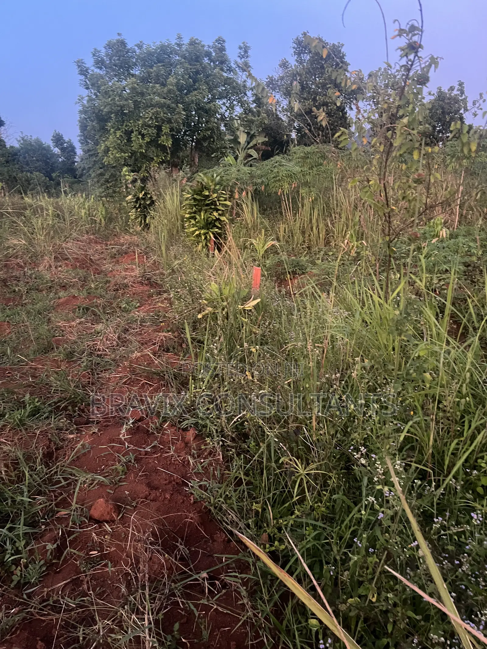 Land on Sale