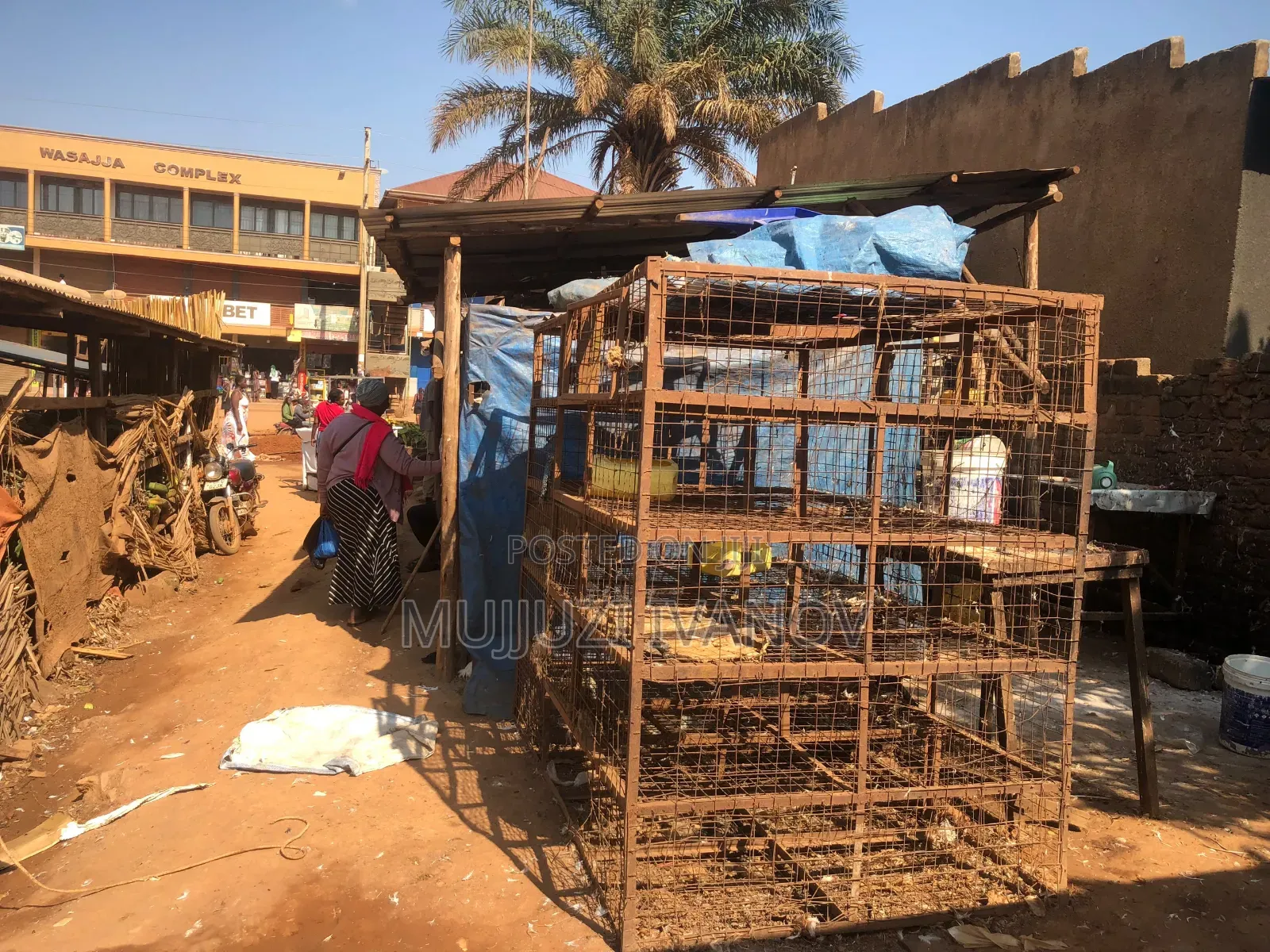Katimba 7*9ft