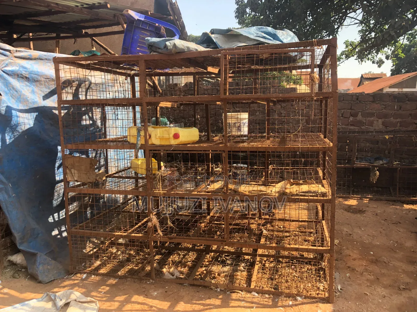 Katimba 7*9ft