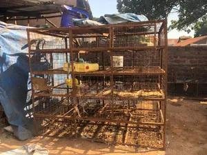 Katimba 7*9ft